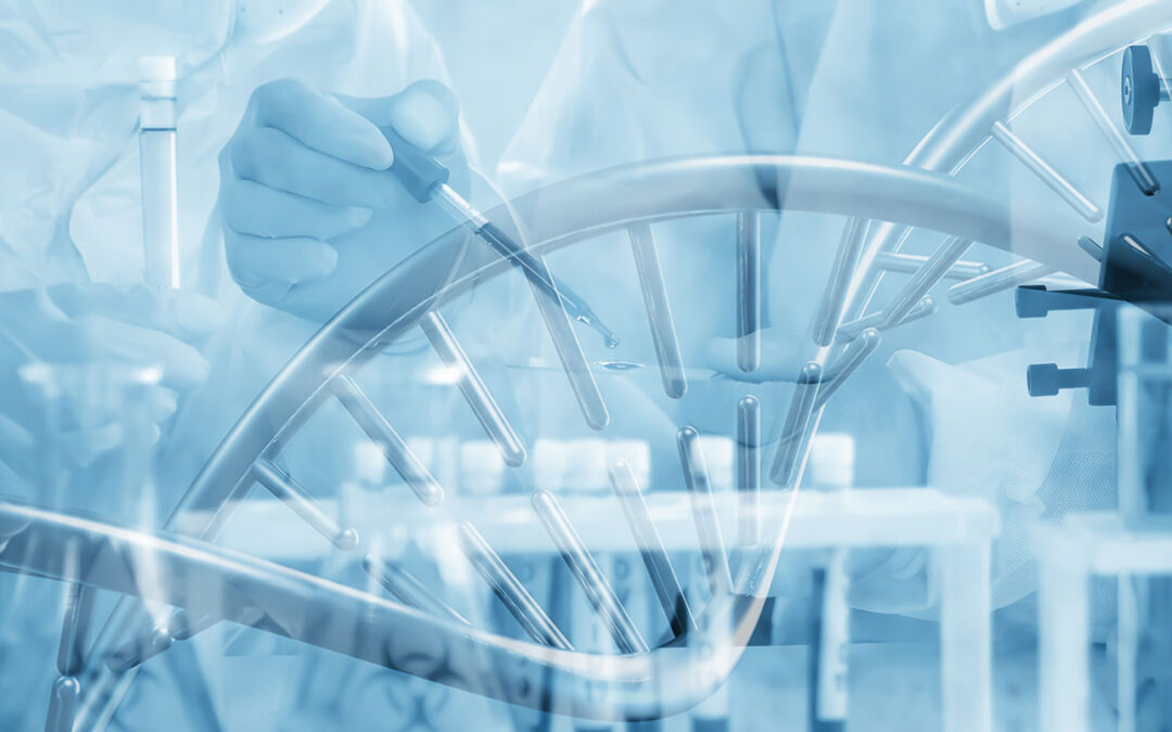 Clinical Use of Autologous Micro-Fragmented Fat Progressively Restores Pain and Function in Shoulder Osteoarthritis