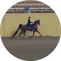 B G. Avatar